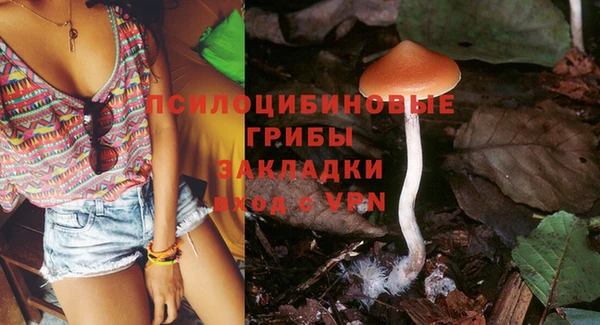 дмт Магадан