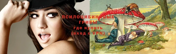 дмт Магадан