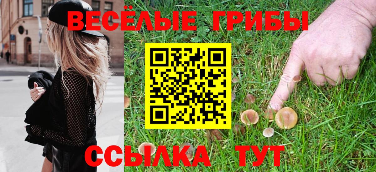 Шарыпово  Галлюциногенные грибы Psilocybine cubensis  Вход с VPN 